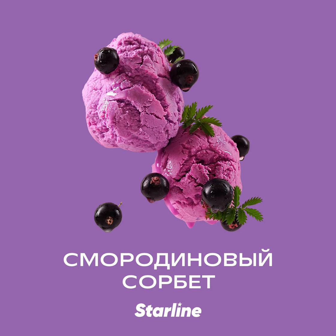 Daily Hookah Currant Sorbet 250gr - Sweet & Tangy Fruity Sorbet Flavor