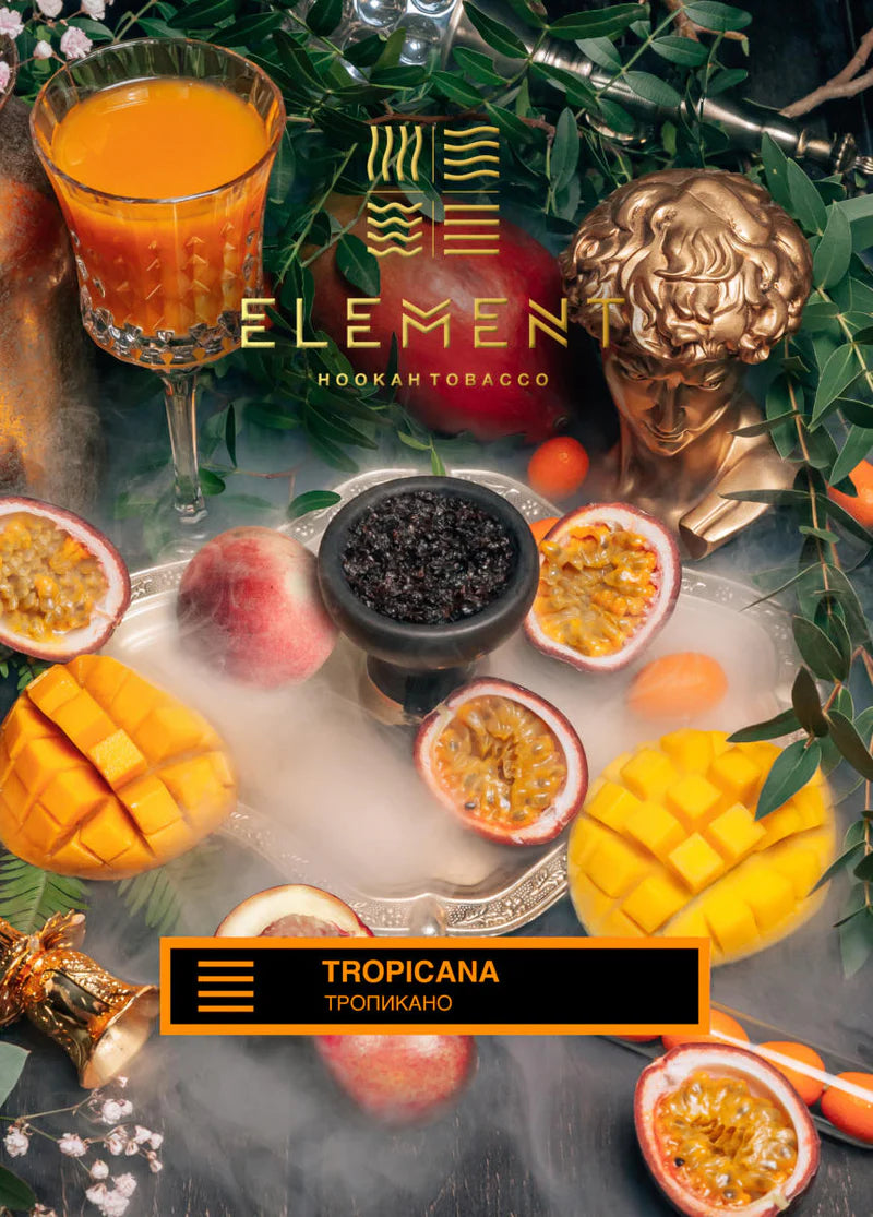 Element Tobacco Tropicana Earth Line 200g offers a rich blend of tropical fruits with earthy undertones, providing a balanced and satisfying hookah experience with medium intensity, perfect for multiple sessions.






